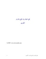 جمع الجواهر في الملح والنوادر